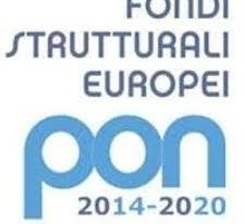 AVVISO DI RECLUTAMENTO DI  ESPERTI ESTERNI DOCENTI MADRELINGUA INGLESE Competenze di base 10.2.1A-FSEPON-AB-2017-49  Sottoazione 10.2.1A-FSEPON-AB-2017-136 PROMUOVERE COMPETENZE  CUP I67I17000130006