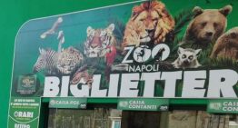 Visita allo zoo di Napoli