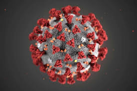 Coronavirus – Invito all’autodenuncia