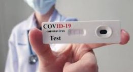 Test sierologici personale scolastico: indicazioni della Regione Campania